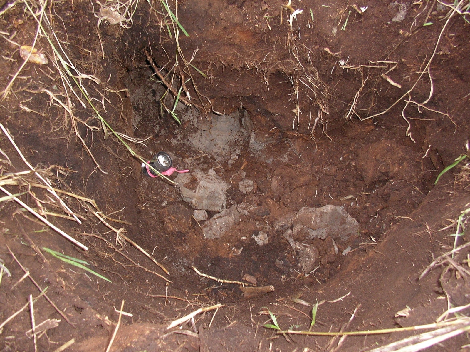 Soil layers at the pasture crevasse system hibernacula